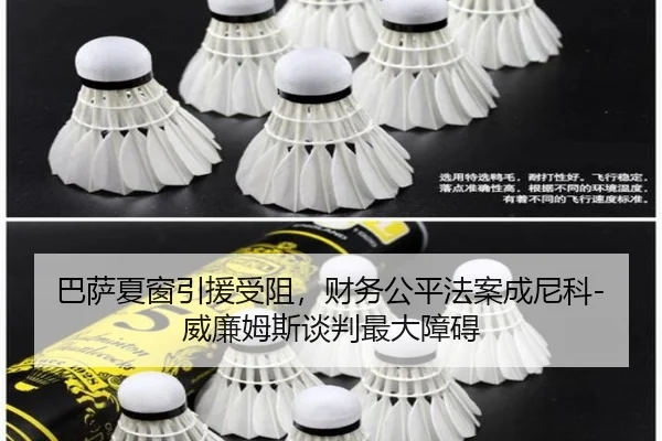 ba-sa-xia-chuang-yin-yuan-shou-zu-cai-wu-gong-ping-fa-an-cheng-ni-ke-wei-lian-mu-si-tan-pan-zui-da-zhang-ai-3-688.jpg