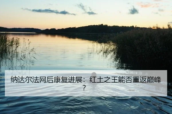 na-da-er-fa-wang-hou-kang-fu-jin-zhan-hong-tu-zhi-wang-neng-fou-chong-fan-dian-feng-3-365.jpg